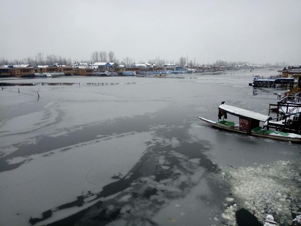 Young Shahzada Group Of Houseboats Srīnagar Екстериор снимка